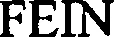 Official representation of trade mark WO0000000889485 — FEIN