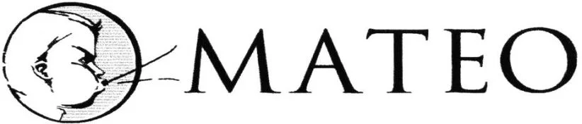 Official representation of trade mark WO0000001286963 — MATEO