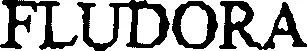 Official representation of trade mark WO0000000894795 — FLUDORA