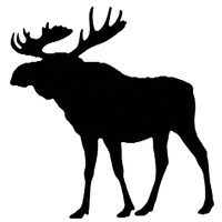 Official representation of trade mark WO0000001939462