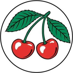 Official representation of trade mark WO0000001385438
