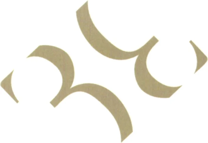 Official representation of trade mark WO0000000895156 — BB