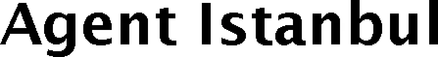 Official representation of trade mark WO0000001283490 — Agent Istanbul