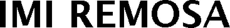 Official representation of trade mark WO0000001382636 — IMI REMOSA