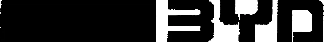 Official representation of trade mark WO0000000906249 — BYD
