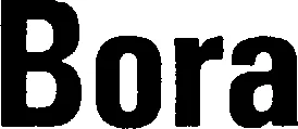 Official representation of trade mark WO0000000503858 — Bora
