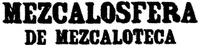 Official representation of trade mark WO0000001384844 — MEZCALOSFERA DE MEZCALOTECA