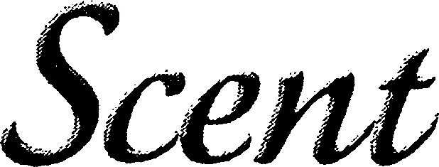 Official representation of trade mark WO0000000862925 — Scent