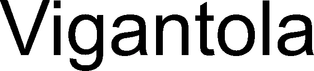 Official representation of trade mark WO0000001323159 — Vigantola