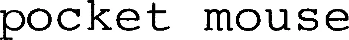 Official representation of trade mark WO0000000664205 — pocket mouse