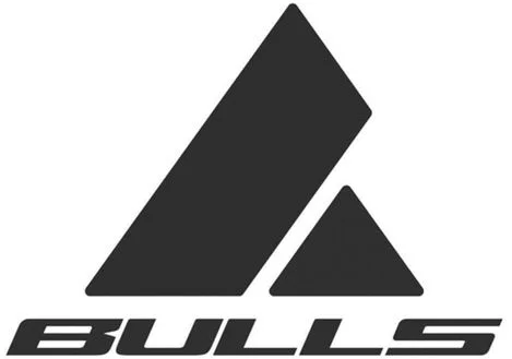 Official representation of trade mark WO0000001343127 — BULLS
